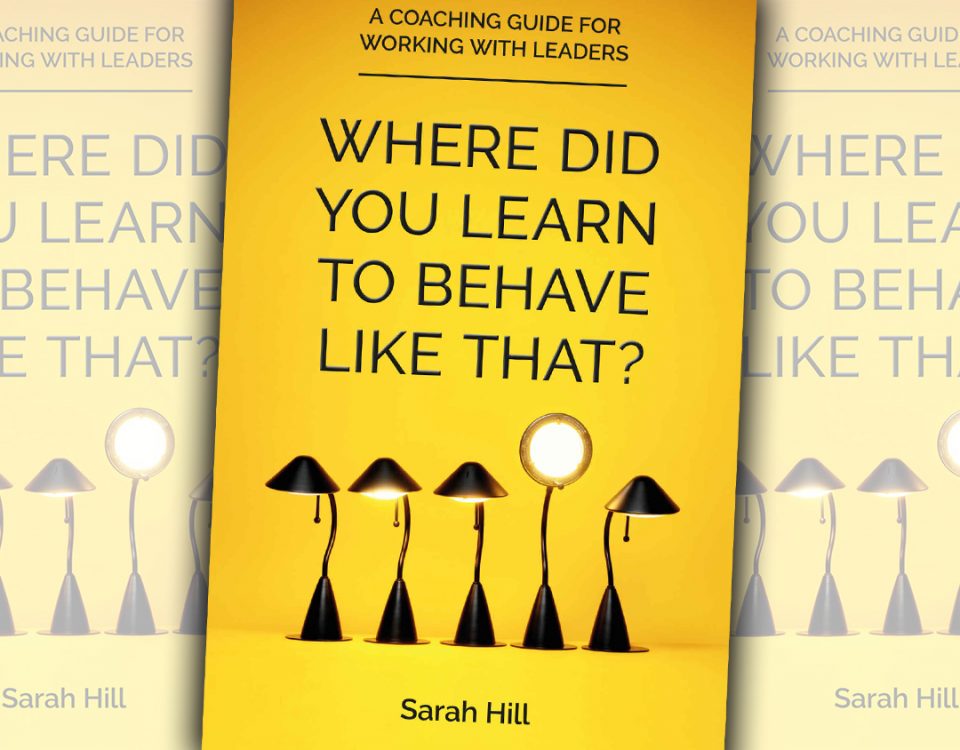 Sarah Hill book, Where Did You Learn To Behave Like That?