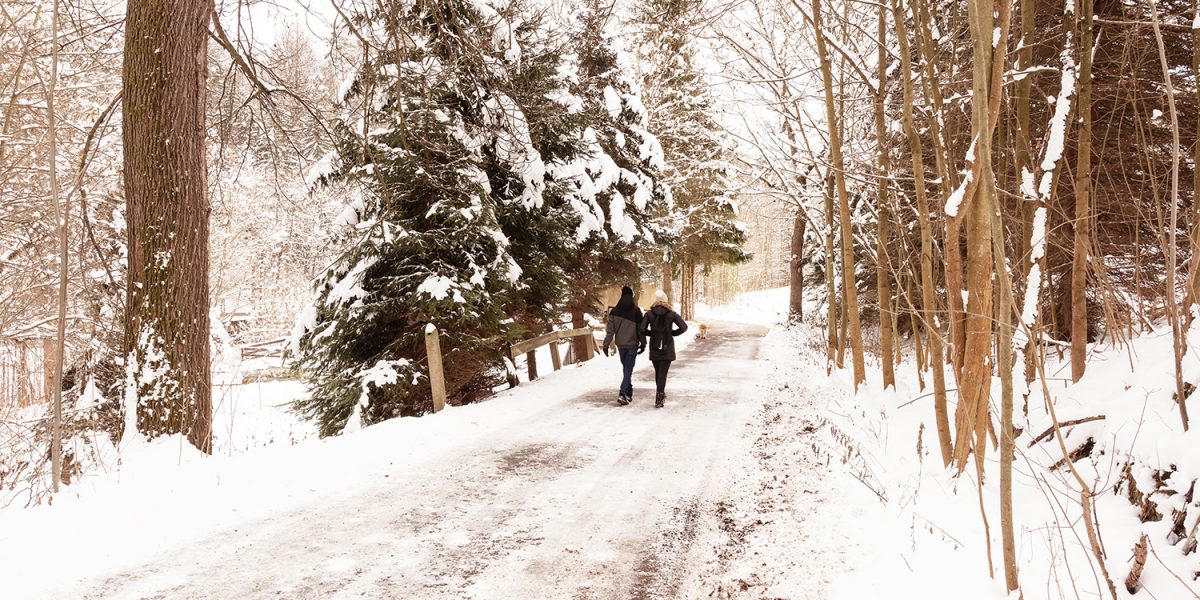 People walking on a snowy path in winter