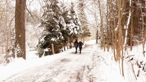 People walking on a snowy path in winter